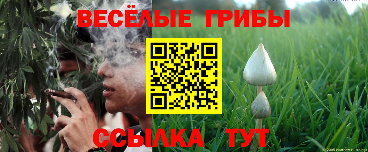 Киров  Псилоцибиновые грибы ЛСД  Вход с VPN 